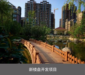 四柱雙層簡易立體車庫新樓盤開發(fā)項(xiàng)目